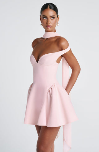 R.F Marla Mini Dress Non-Stretch Crepe Tulle Skirt Blush