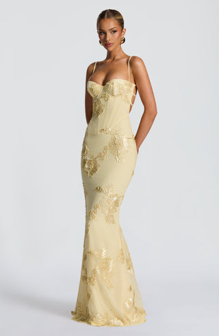 L.F Nefertiti Maxi Dress Corset Bodice Floral Applique Lemon